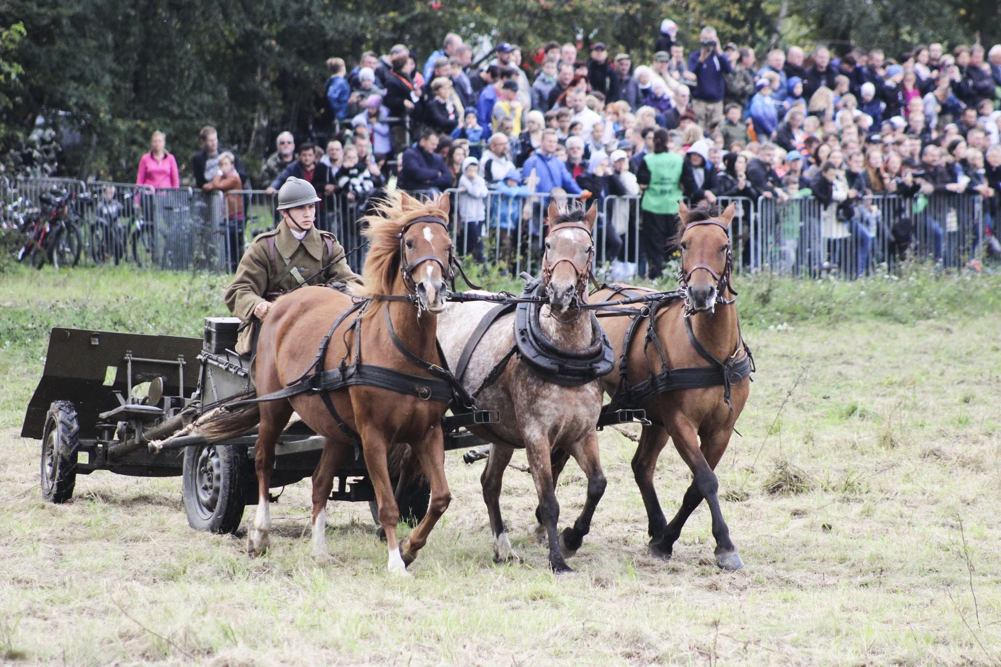 Stajnia Tarpan Przejazdy wozami piknikowymi / kuligi