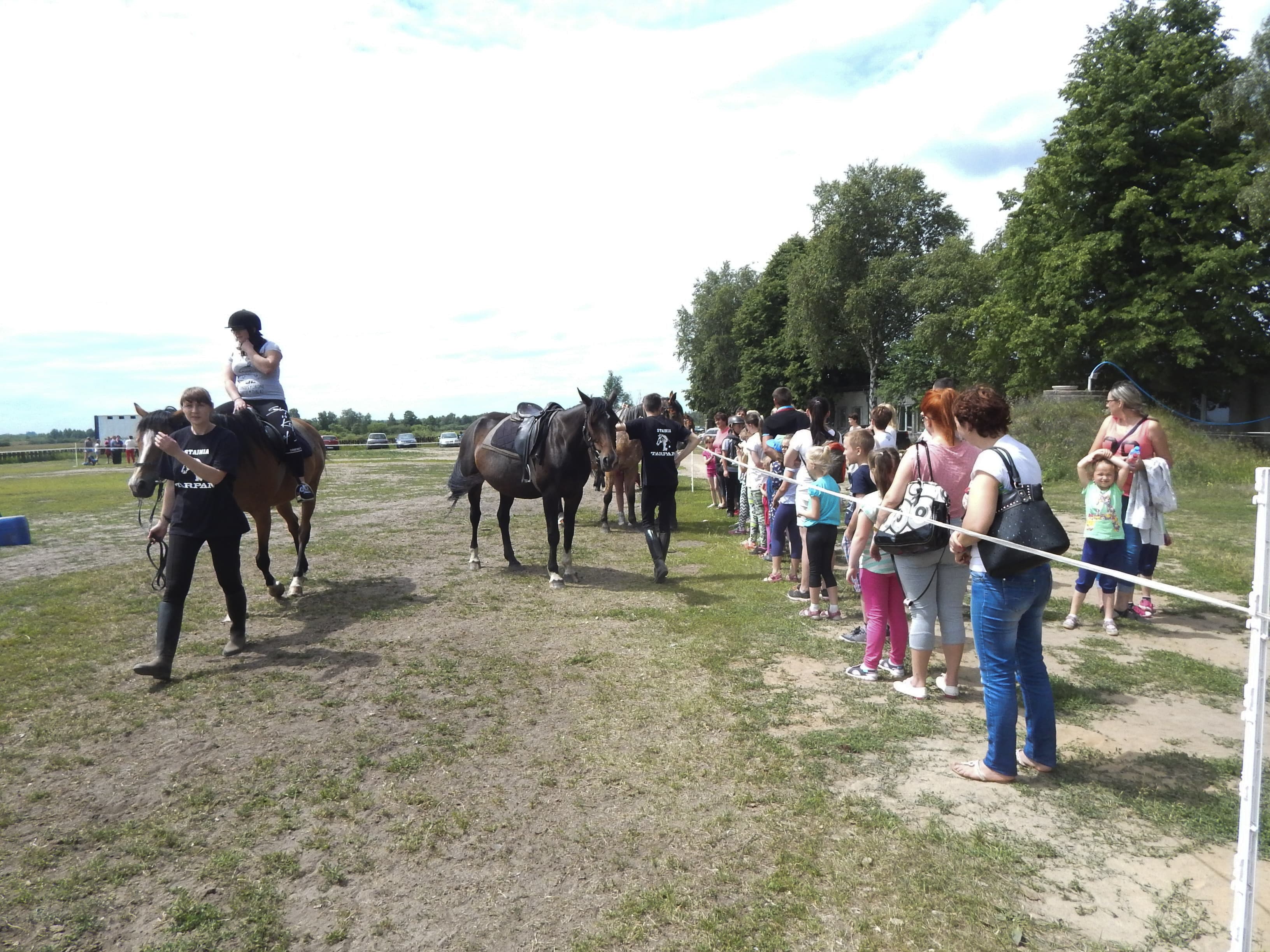 Stajnia Tarpan Przejazdy wozami piknikowymi / kuligi